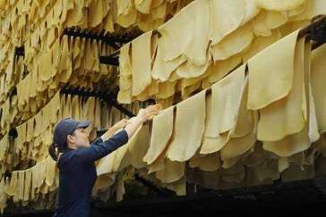 Giá cao su biến động mạnh giữa tháng 7
